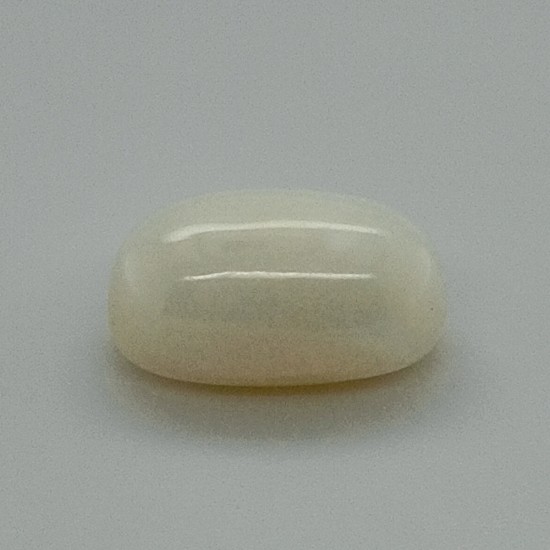 White Coral (Safed Moonga) 5.3 Ct Gem Quality White Coral (Safed Moonga) 5.3 Ct Gem Quality